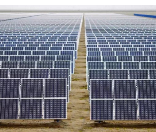 Solar expansion in China causes bird diversity decline: Report (File Photo/IANS)