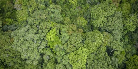 Biodiversity Authority gives Rs 2.82 crore to States under benefit-sharing mechanism (Photo: MoEFCC)