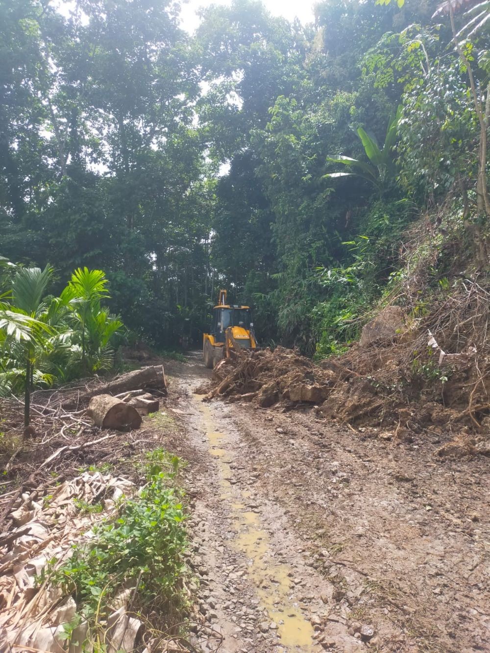 A partial stretch of the Wokha-Bokajan road.