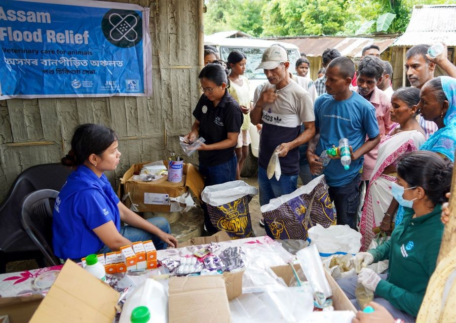 Veterinary doctors provide medicines to farmers to protect their livestock from diseases in the aftermath of floods at Nazira in Assam's Sivasagar district on July 31, 2026. (IANS Photo)
