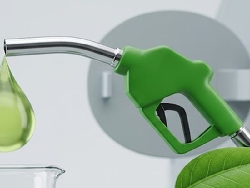 E20 rollout backed by scientific studies, industry validation: Centre (File Photo/IANS)