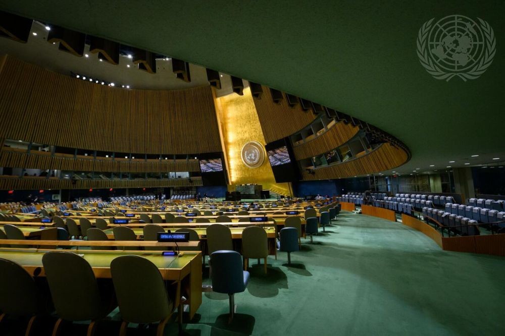 UN hears warning of ‘colonisation by data’. (Image courtesy: IANS/X/@Journal_UN_ONU)