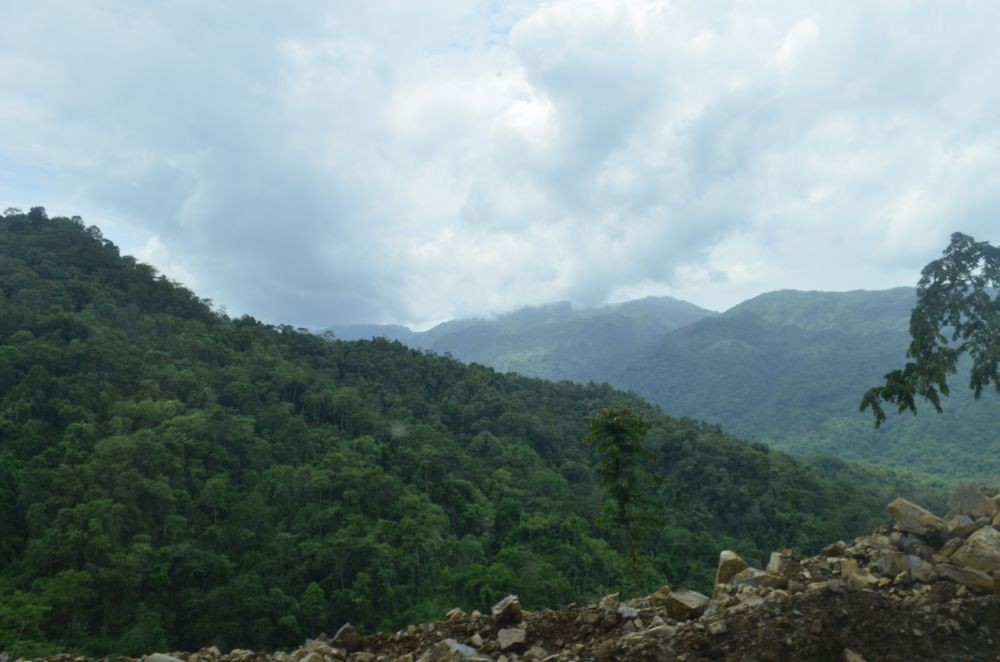 According to reports, Nagaland has witnessed around a 10% decline in its forest cover over the last 10 to 15 years. (Morung File Photo)