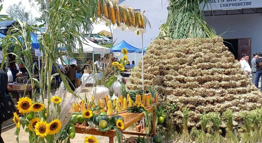 Khuvie produce put for sale during 3rd Khuvie Nyi at Chiephobozou on September 9. (Morung Photo)