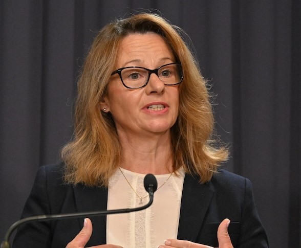 Australia missing early warning system for AI threats: Intelligence ch...