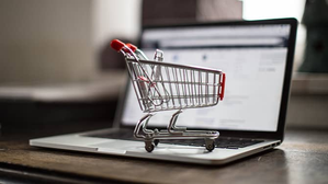 Govt amends E-Commerce Rules to strengthen consumer protection (IANS File Photo)
