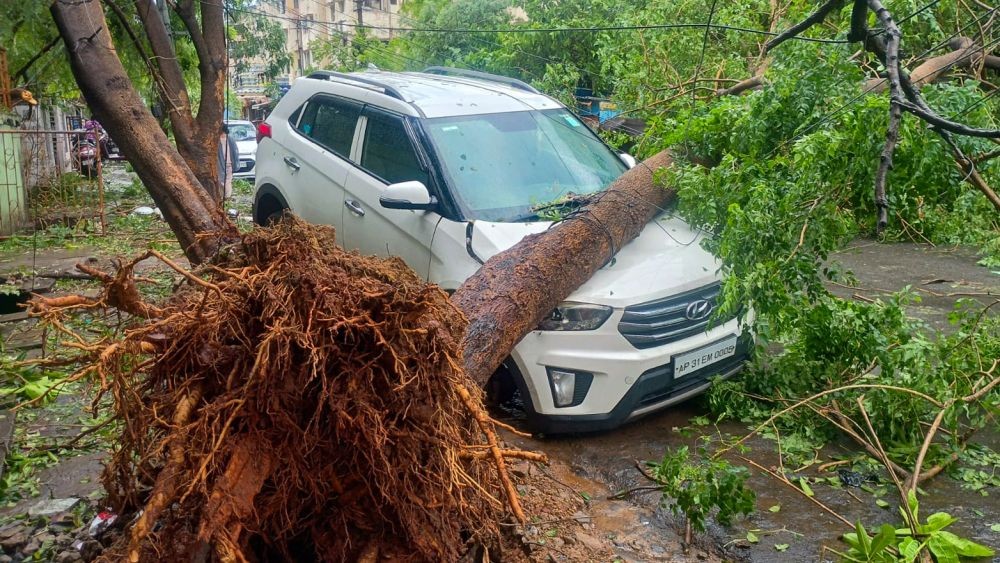 An uprooted tree falls on a car following Cyclone Arnab in Visakhapatnam district of Andhra Pradesh on October 28, 2026. (Photo: IANS)