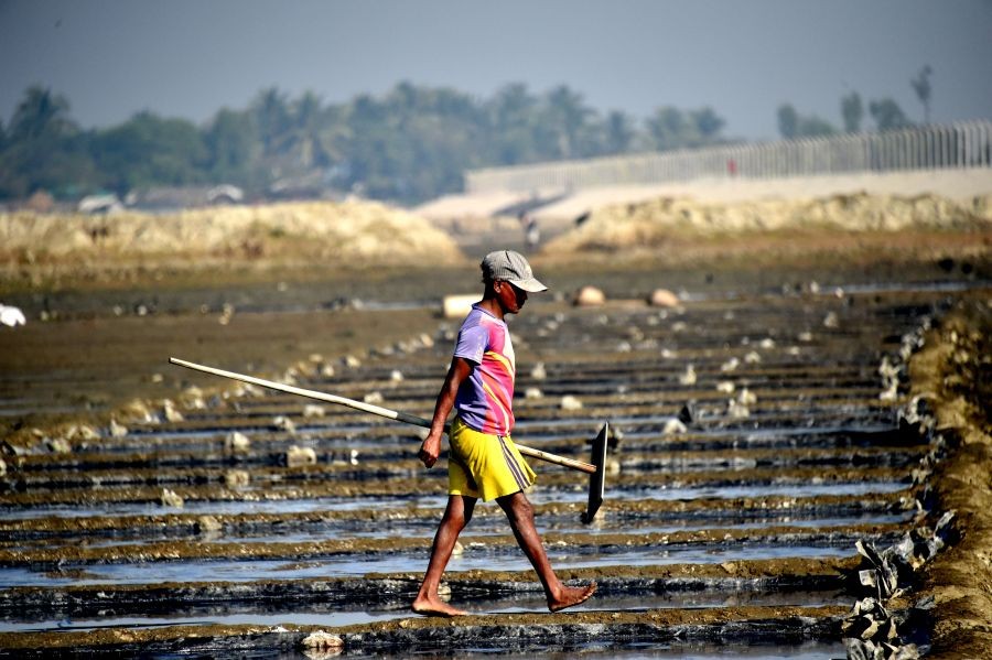A farmer walks among salt beds at Moheshkhali in Cox's Bazar, southeast Bangladesh, Jan. 7, 2019. (IANS/Xinhua/Stringer File Photo)
