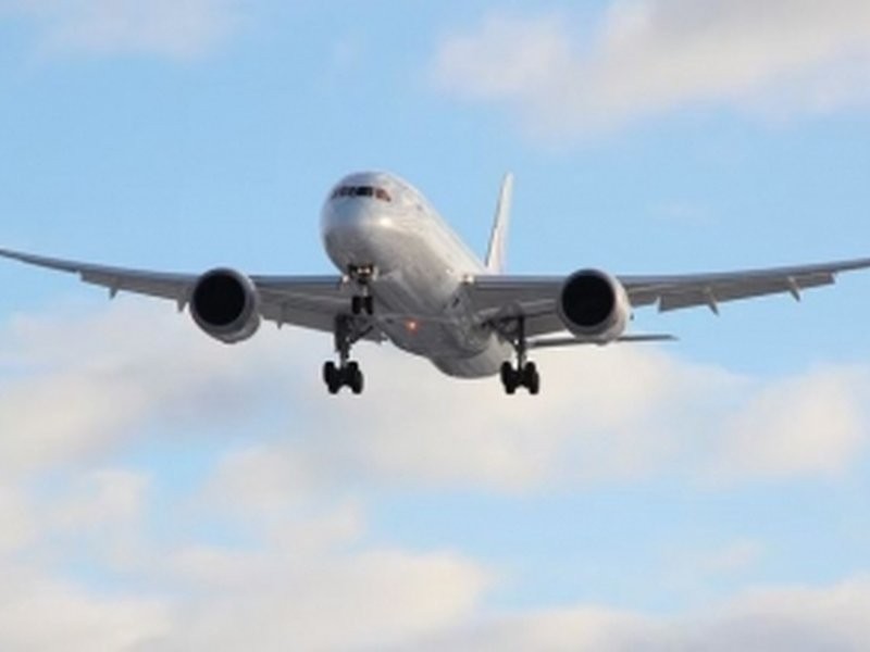 DGCA bans specific powerbank model on flights after in-flight fire incident (File Photo/IANS)