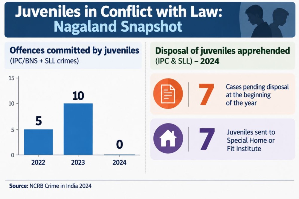 Understanding the Juvenile Justice System-II: From Law to Protection ...