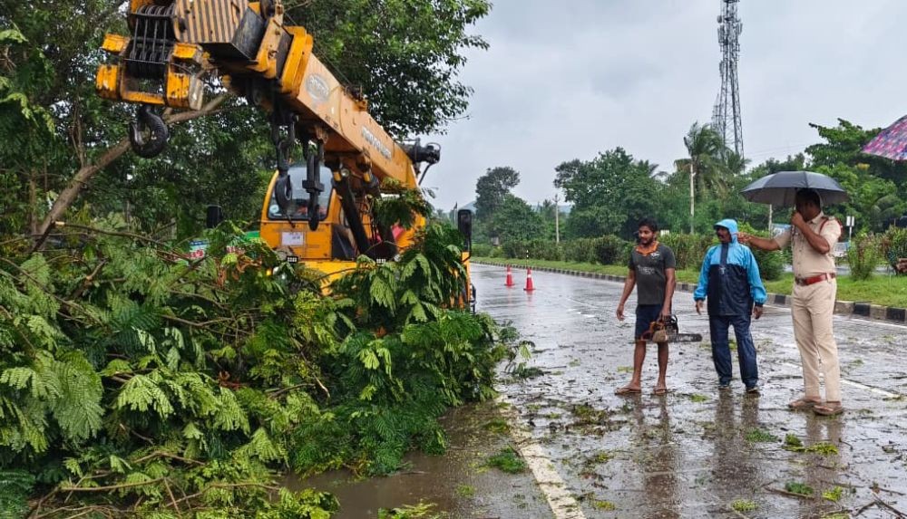 Uprooted trees lie scattered following heavy rain and strong winds amid Cyclone Arnab in Visakhapatnam, Andhra Pradesh, on October 27, 2026. (Photo: IANS)