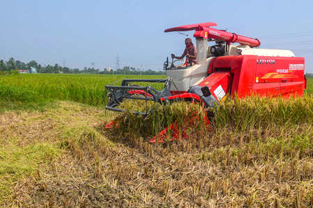 Assam: PM-KISAN instalment to benefit over 18 lakh farmers (Photo: IANS)