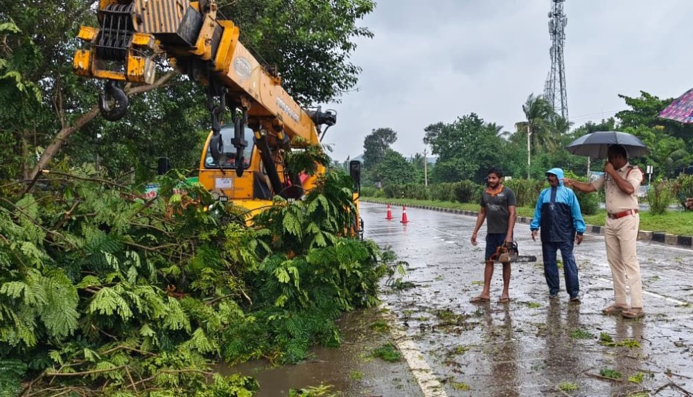 Visakhapatnam: Uprooted trees lie scattered following heavy rain and strong winds amid Cyclone Arnab in Visakhapatnam, Andhra Pradesh, on Tuesday, October 27, 2026. (Photo: IANS)