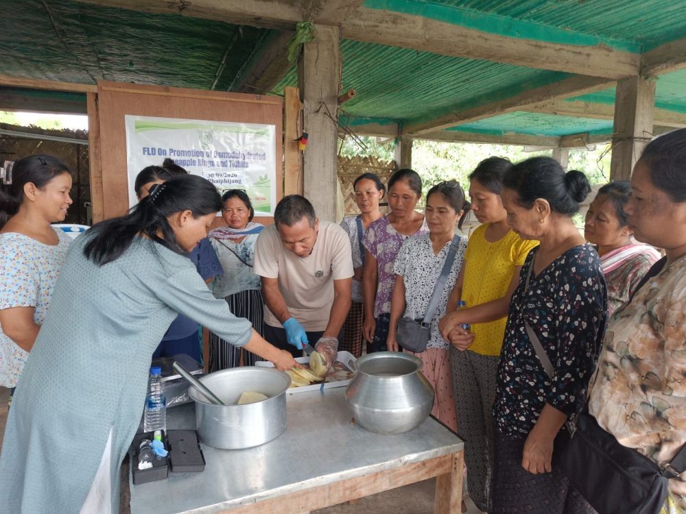 Demonstration on preparation of osmo dehydrated pineapple rings and tidbits for farmers.